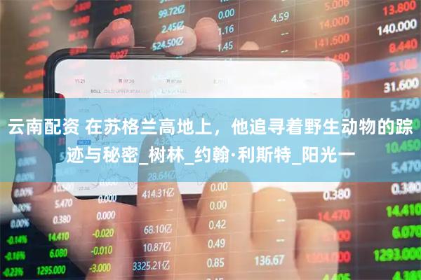 云南配资 在苏格兰高地上，他追寻着野生动物的踪迹与秘密_树林_约翰·利斯特_阳光一