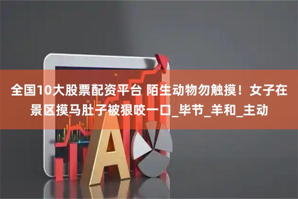 全国10大股票配资平台 陌生动物勿触摸！女子在景区摸马肚子被狠咬一口_毕节_羊和_主动