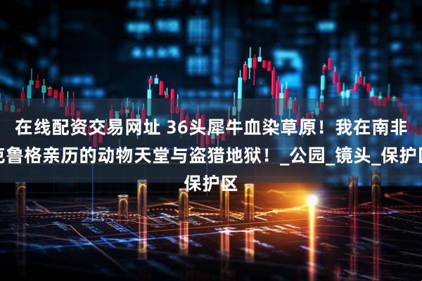 在线配资交易网址 36头犀牛血染草原！我在南非克鲁格亲历的动物天堂与盗猎地狱！_公园_镜头_保护区