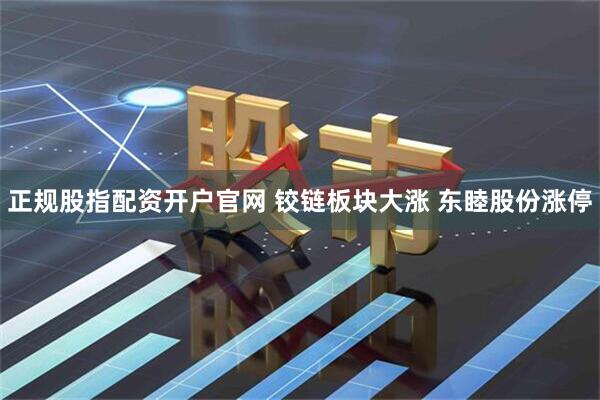 正规股指配资开户官网 铰链板块大涨 东睦股份涨停